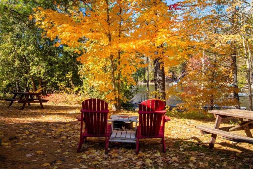 The Trace At Oak Lake Havelock Luaran gambar